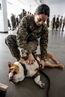 U.S. Marine Corps Series Commander, 1st Lt. Rebekah Harasick, with Support Battalion, Recruit Training Regiment, interacts with Lance Cpl. Bruno, the Marine Corps Recruit Depot San Diego, Western Recruiting Region mascot, before he meets Marines and recruits with Special Training Company for operation happy holiday at MCRD San Diego, California, Dec. 16, 2024. The Mascot’s job is to boost morale, participate in outreach work and attend events and ceremonies.  Marine Corps Community Services, MCRD San Diego, hosted operation happy holiday to spread holiday cheer to recruits and Marines who will be away from family for the holiday season. (U.S. Marine Corps photo by Cpl. Sarah M. Grawcock)