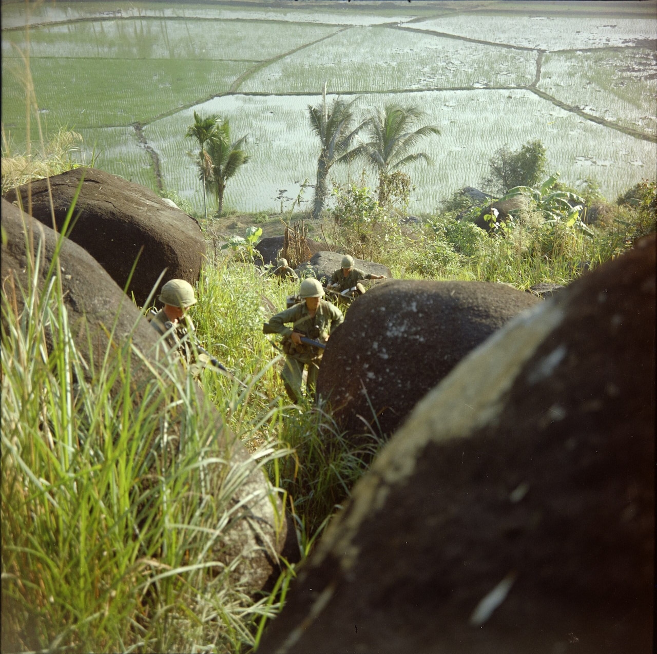 Combat soldiers hunch down while walking through tall reeds and huts.