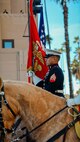 The U.S. Marine Corps' Mounted Color Guard carries the American Flag and the Marine Corps Standard in the 136th Rose Parade in Pasadena, California, Jan. 1, 2025. The Rose Parade, created to showcase the beauty of Pasadena, is part of an annual celebration, Tournament of Roses, that includes various floats, bands, dancers,  and equestrian units. The Marine Corps has served the Nation honorably for 250 years. Marines embody the uncompromising standards and characteristics of honor, courage and commitment. (U.S. Marine Corps photo by Cpl. Alexandra M. Earl)