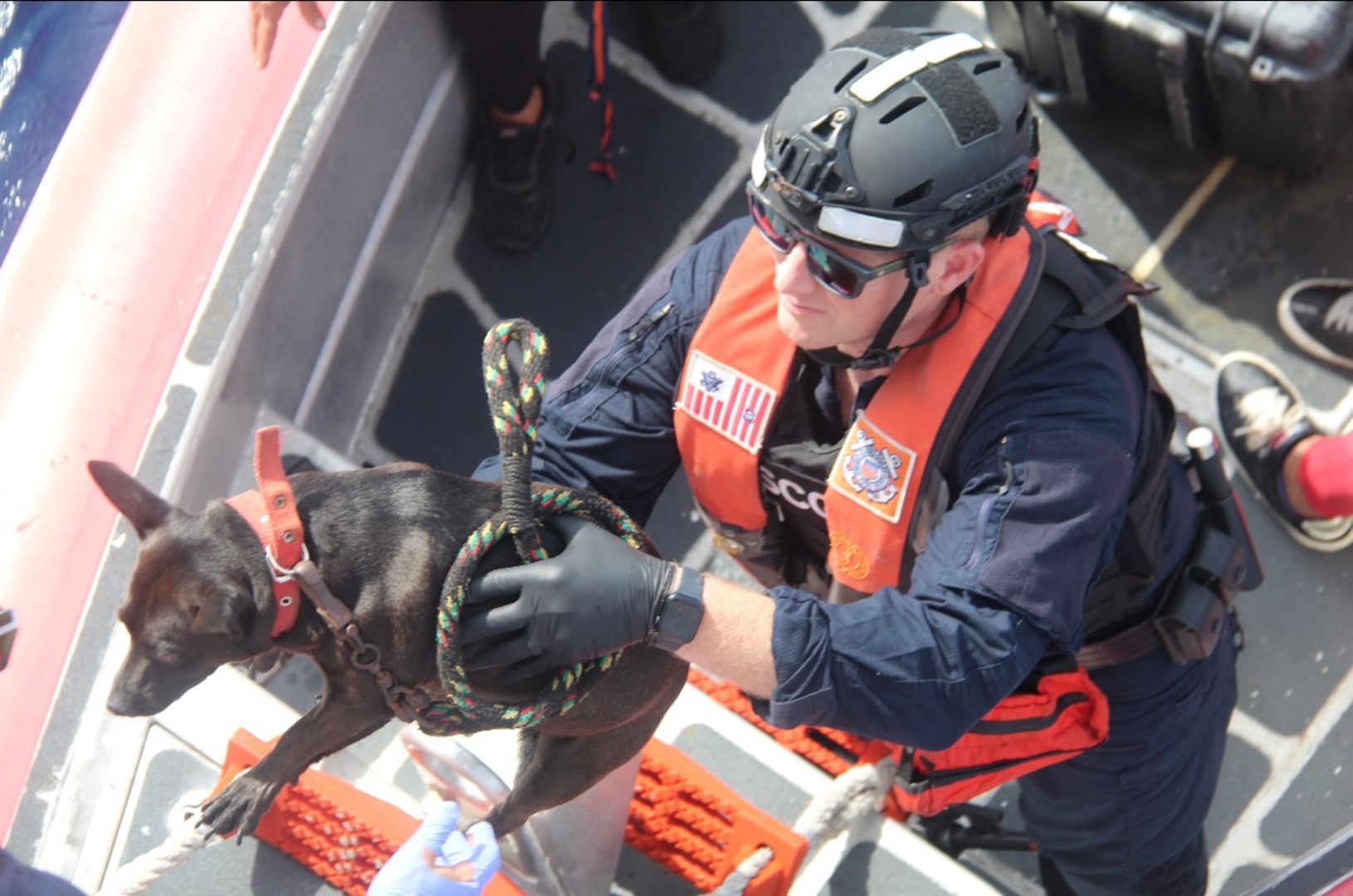 A boarding team member from Coast Guard Cutter Robert Yered, rescues a dog from an interdicted illegal migrant venture, 36 miles south of Key West, Florida, Dec. 30, 2024. The crew of Coast Guard Cutter William Flores repatriated all aboard the rustic vessel back to Cuba, Jan. 9, 2025. (U.S. Coast Guard courtesy photo)