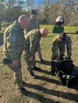 EODMU-8 demonstrates the Shark Marine Navigator during Exercise Poseidon 24.