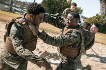 U.S. Marines from Marine Corps Recruit Depot San Diego and Marine Corps Base Camp Pendleton participate in a culminating event during a Marine Corps Martial Arts Instructor Course at MCRD San Diego, California, Dec. 18, 2024. After three weeks of training, MAI Course Class 19-24 conducted a five-hour culminating event that challenged students to show expertise in ground fighting, weapons-free sparring, and bayonet and knife techniques. (U.S. Marine Corps photo by Cpl. Sarah M. Grawcock)