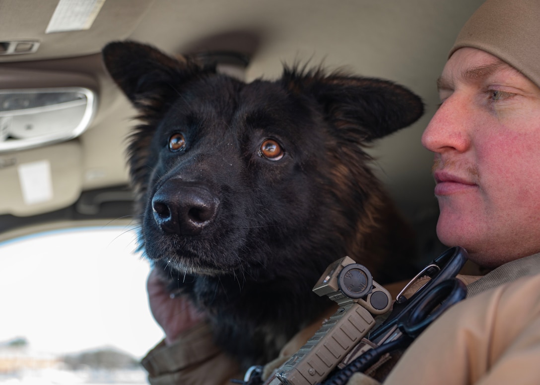 U.S. Air Force Tech. Sgt. Daniel Johnson, 316th Security Support Squadron military working dog training supervisor , and MWD Reno prepare to conduct a security sweep prior to the arrival ceremony for the State Funeral of former President Jimmy Carter at Joint Base Andrews, Md., Jan. 7, 2025. The 316th SSPTS played a key support role in detecting threats, ensuring security and supporting law enforcement operations throughout the ceremony. (U.S. Air Force photo by Staff Sgt. Aubree Owens)