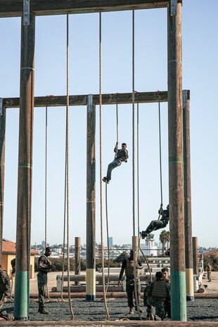U.S. Marines from Marine Corps Recruit Depot San Diego and Marine Corps Base Camp Pendleton participate in a culminating event during a Marine Corps Martial Arts Instructor Course at MCRD San Diego, California, Dec. 18, 2024. After three weeks of training, MAI Course Class 19-24 conducted a five-hour culminating event that challenged students to show expertise in ground fighting, weapons-free sparring, and bayonet and knife techniques. (U.S. Marine Corps photo by Cpl. Sarah M. Grawcock)