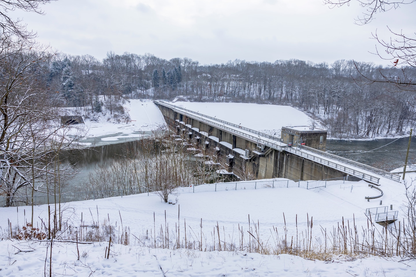 The Shenango River Lake hosted its fifth annual Eagle Fest at the lake in partnership with other natural conservation agencies, including Shenango River Watchers, the Pennsylvania Game Commission, and other volunteer groups.