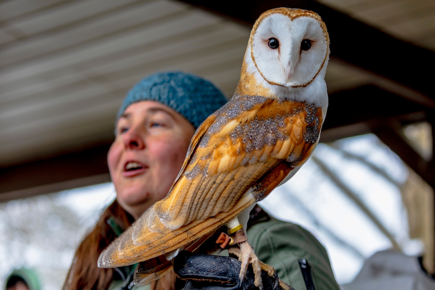 The Shenango River Lake hosted its fifth annual Eagle Fest at the lake in partnership with other natural conservation agencies, including Shenango River Watchers, the Pennsylvania Game Commission, and other volunteer groups.