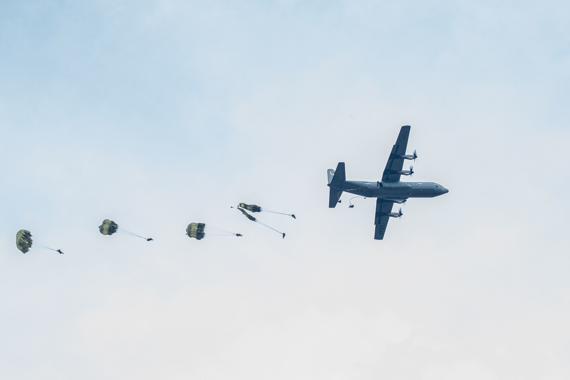 A airplane drops paratroopers out of the rear of the aircraft overhead