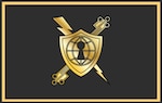 Cyber Mission Specialist insignia