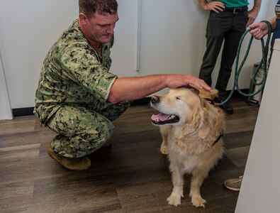 A sailor kneels to give Tuukka, a certified therapy dog with Pet Partners, a head rub during a morale-boosting visit at the Hawaii Regional Maintenance Center at Pearl Harbor Naval Shipyard & Intermediate Maintenance Facility on Dec. 4, 2024.