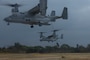 U.S. Marines with 31st Marine Expeditionary Unit, conduct fast rope training from MV-22 Ospreys assigned to Marine Medium Tiltrotor 262 (Rein.) at Camp Hansen, Okinawa, Japan, Jan. 15, 2025.
