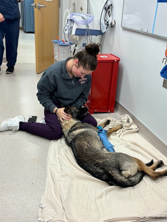 Pfc. Elise White, a proud native of Lititz, Pennsylvania, shares her story of becoming a 68T Animal Care Specialist