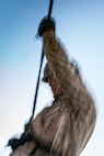 A U.S. Marine with Lima Company, 3rd Recruit Training Battalion, descends the rappel tower at Marine Corps Recruit Depot San Diego, California, Jan. 10, 2025. The rappel tower provides opportunities for the new Marines to gain confidence in themselves and their gear and is one of the last training events Marines will conduct while at MCRD San Diego. Most ready when our nation is least ready, we train Marines to defeat the challengers, obstacles, and potential adversaries that hinder our nation’s progress and threaten our peace and security. (U.S. Marine Corps photo by Cpl. Sarah M. Grawcock)