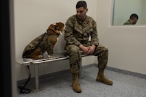 U.S. Marine Corps Lance Cpl. Bruno, the Marine Corps Recruit Depot San Diego and Western Recruiting Region mascot,learns about the Criminal Investigation Division from Master Sgt. Richard Kuzmanoff a member of the Criminal Investigation Division, Headquarters and Service Battalion, at Marine Corps Recruit Depot San Diego, California, Dec. 10, 2024. The mascot’s job is to boost morale, participate in outreach work, and attend events and ceremonies. (U.S. Marine Corps photo by Lance Cpl. Jacob B. Hutchinson)