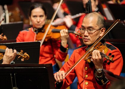 A violinist plays their instrument