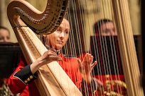 A harp player plays their instrument