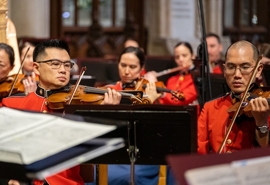 Violinist are playing their instruments