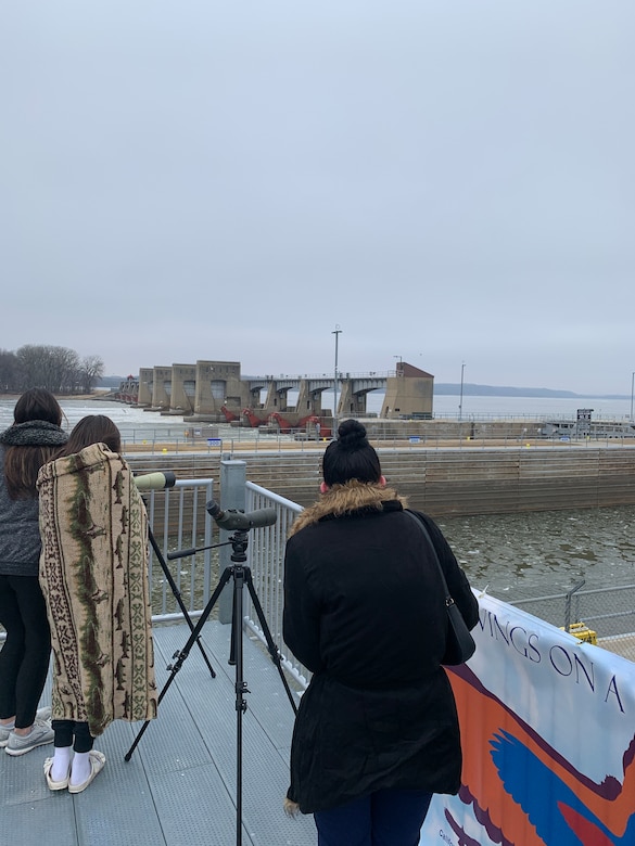 Clinton Bald Eagle Watch