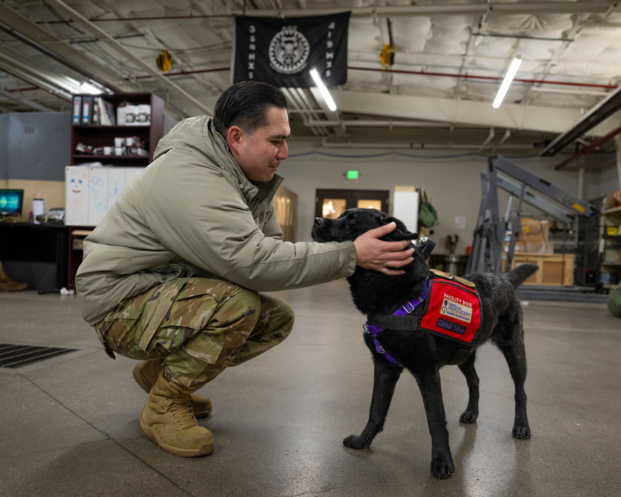 A photo of an Airman petting a dog in a hangar