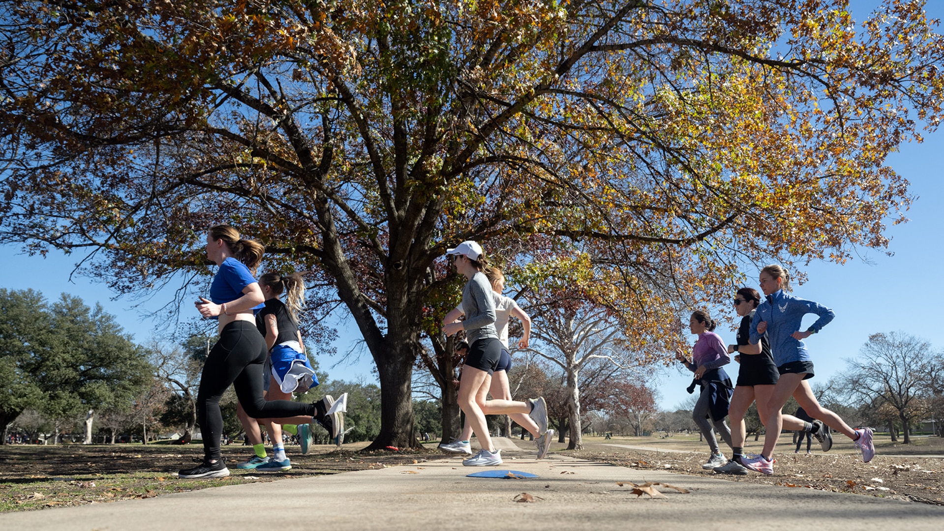 Runners practice for the 2025 Armed Forces Men’s and Women’s Cross Country Championship at Windcrest Golf Club in Windcrest, Texas, on Jan. 24, 2025. The championship is scheduled for Jan. 25. (DoD photo by EJ Hersom)