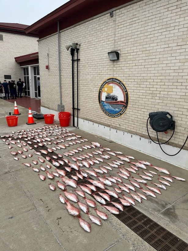 A Law Enforcement crew from Coast Guard Station South Padre Island takes a photo of the catch from a Mexican lancha interdicted off the southern Texas coast, Jan. 28, 2025. Coast Guard Station South Padre Island crews interdicted a lancha and seized 200 pounds of red snapper. (U.S. Coast Guard photo, courtesy Station South Padre Island)