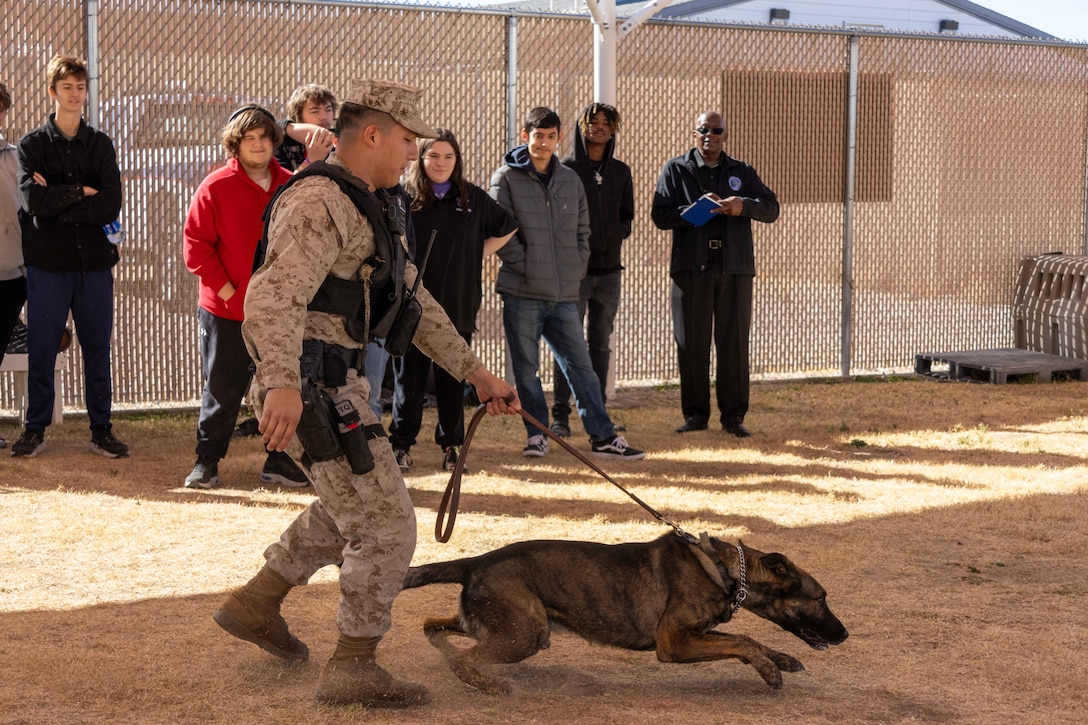 Students from Silver Valley High School's Criminal Justice program observed and joined in on demonstrations with the Provost Marshall's Office and Special Reaction Team aboard Marine Corps Logistics Base Barstow, California, January 23. Students were able to learn about different weapons utilized by PMO and SRT, along with interact with the K9's at their obstacle course and during bite training.
