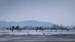 Four U.S. Air Force A-10 Thunderbolt IIs assigned to the 25th Fighter Squadron taxi down on flight line during Beverly Herd 25-2, at Osan Air Base, Republic of Korea, Jan. 29, 2025. The 51st Fighter Wing regularly schedules readiness exercises, such as BH 25-2, to test and validate Osan's offensive and defensive capabilities during contingency scenarios. (U.S. Air Force photo by Senior Airman Sabrina Fuller-Judd)