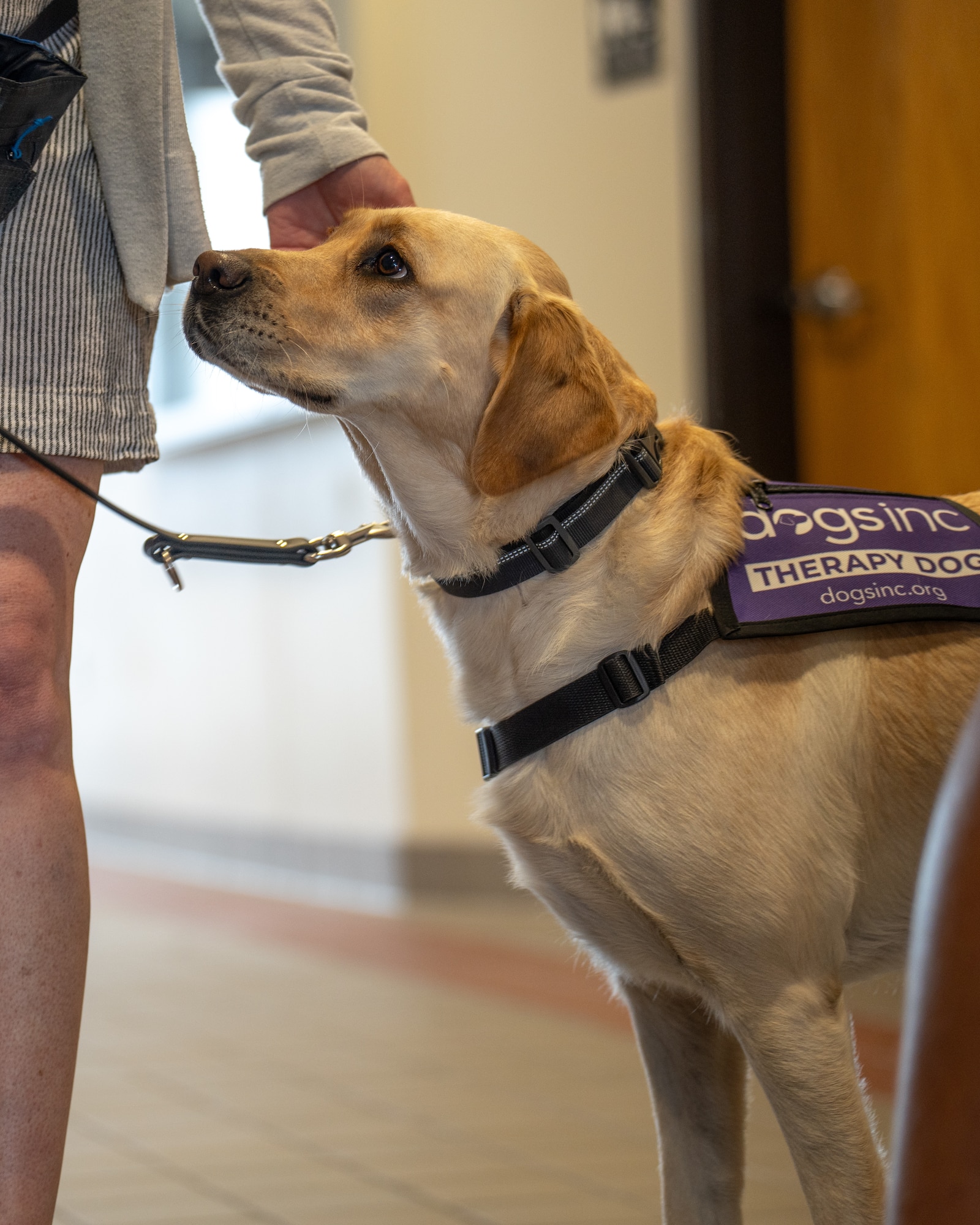 Nichole Gruber, integrated primary prevention workforce integrator, 114th Fighter Wing, leads the Wing’s facility therapy dog initiative to promote mental wellness, support emotional regulation, and strengthen connection among Airmen. (U.S. Air National Guard photo by Staff Sgt. Taylor Solberg)