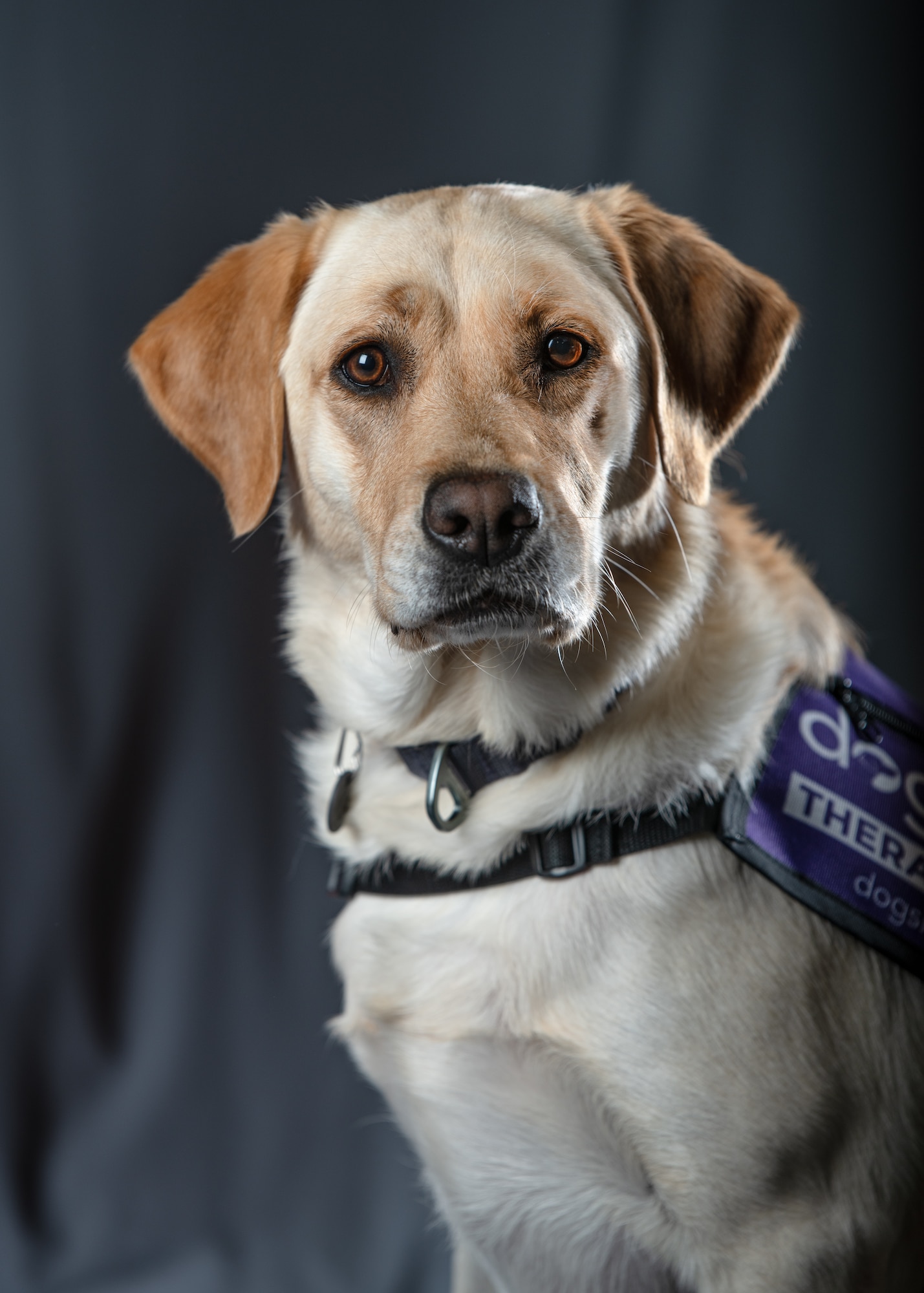 Nichole Gruber, integrated primary prevention workforce integrator, 114th Fighter Wing, leads the Wing’s facility therapy dog initiative to promote mental wellness, support emotional regulation, and strengthen connection among Airmen. (U.S. Air National Guard photo by Staff Sgt. Taylor Solberg)