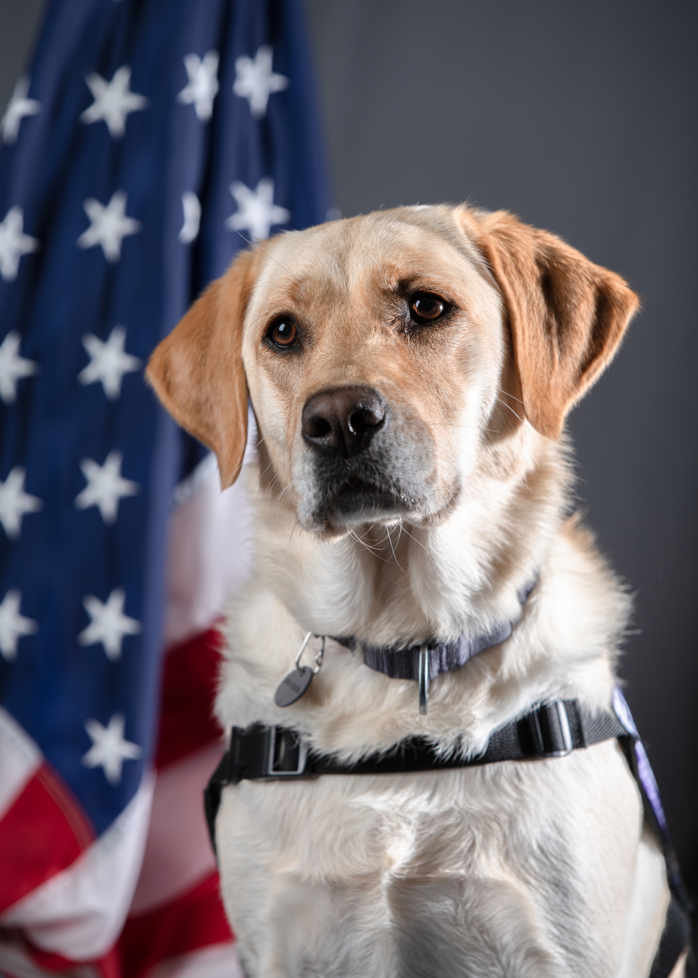 Nichole Gruber, integrated primary prevention workforce integrator, 114th Fighter Wing, leads the Wing’s facility therapy dog initiative to promote mental wellness, support emotional regulation, and strengthen connection among Airmen. (U.S. Air National Guard photo by Staff Sgt. Taylor Solberg)