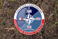 Missouri National Guard
MONG
Department Of the Army
Norwegian Foot March
