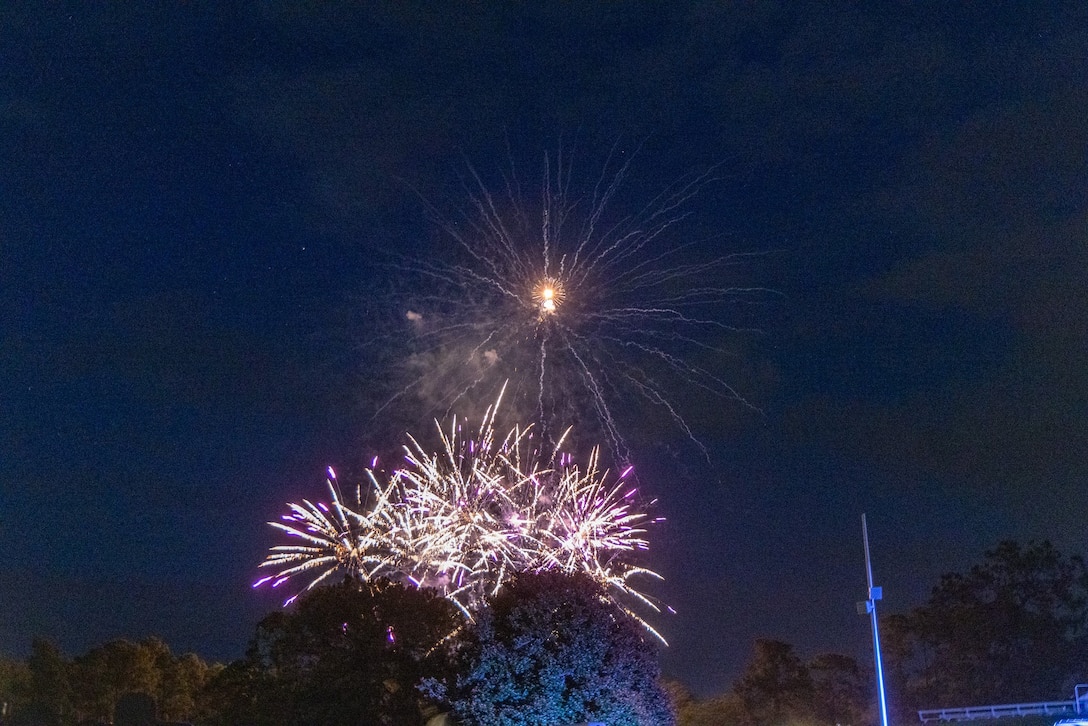 Independence Day celebration 2025