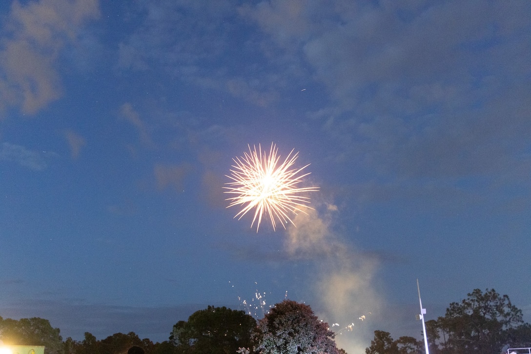 Independence Day celebration 2025