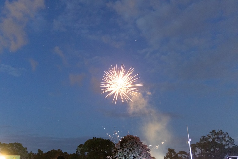 Independence Day celebration 2025