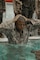 Alpha Company Swim Qualification