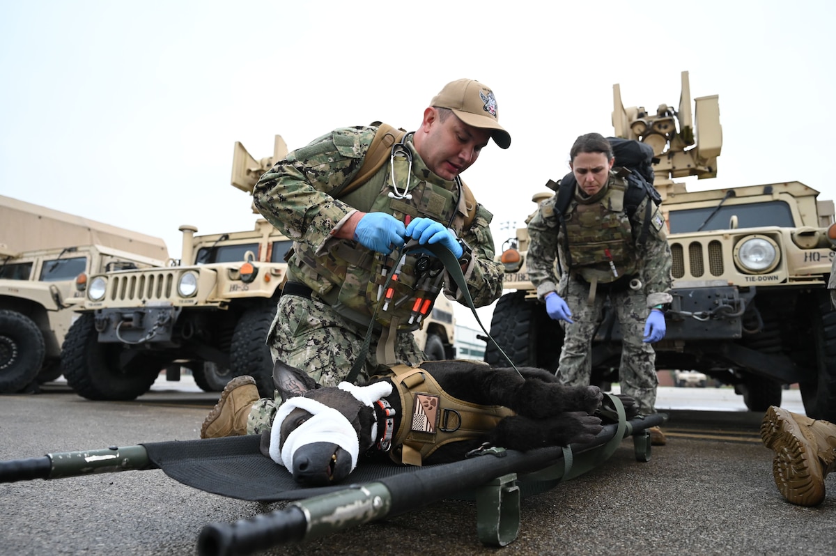 Two U.S. service members kneel on the ground over a canine casualty dummy on a litter in front of military Humvees during a large-scale joint medical exercise.
