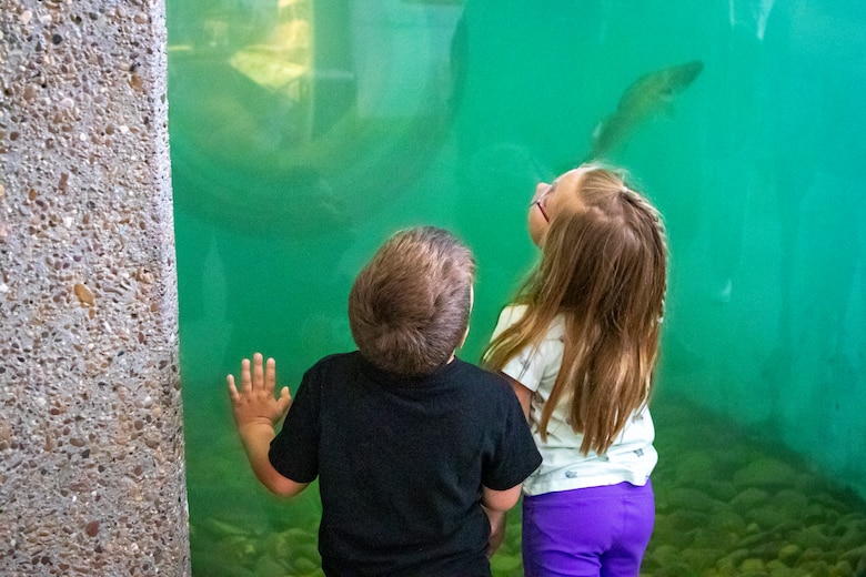Visitors explore the U.S. Army Corps of Engineers’ Fort Peck Interpretive Center and Museum in Fort Peck, Montana, June 21, 2025, during its 20th anniversary celebration.