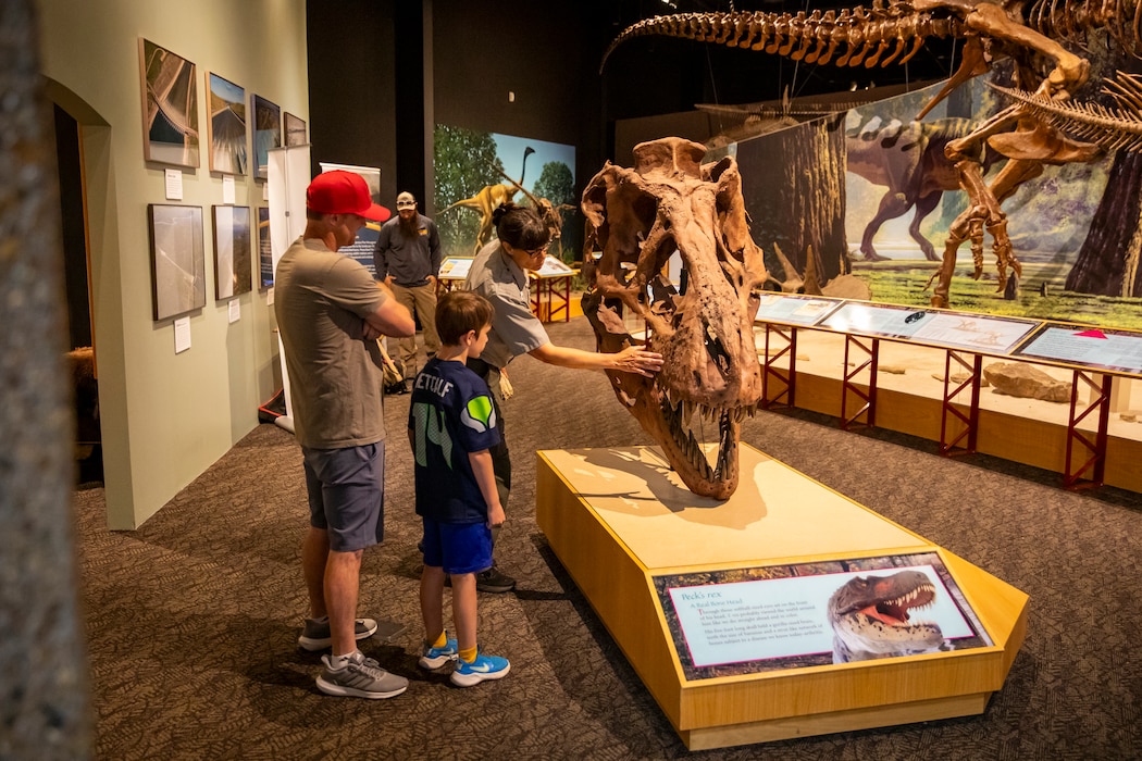 Sue Dalbey, U.S. Army Corps of Engineers park ranger and museum director, talks about the replica Peck’s Rex skull fossil with a father and son at the Fort Peck Interpretive Center and Museum, June 21, 2025, at Fort Peck, Montana, during its 20th anniversary celebration.