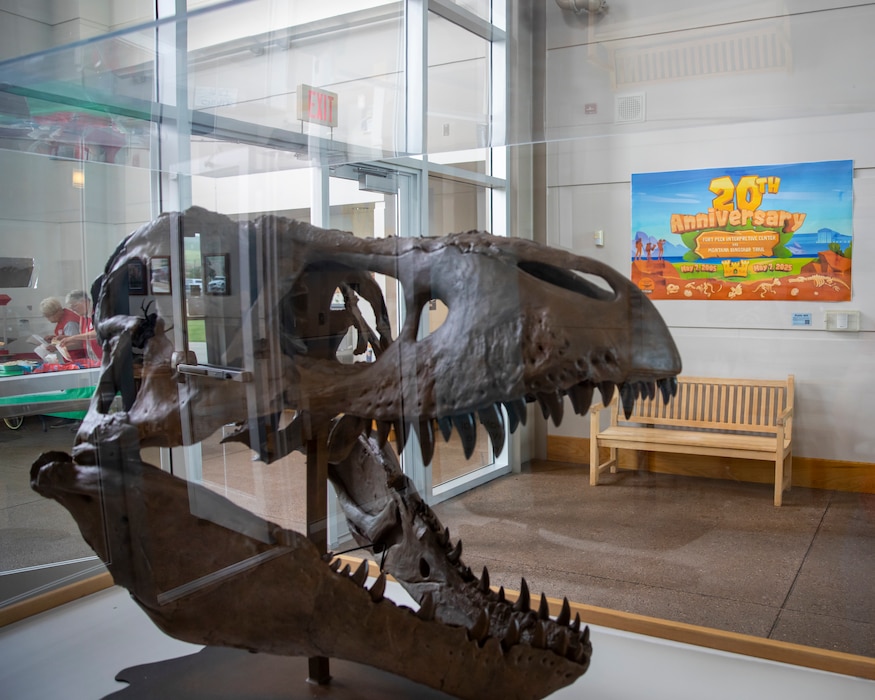 A replica of the Peck’s Rex skull sits in front of a banner celebrating the 20th anniversary of the U.S. Army Corps of Engineers’ Fort Peck Interpretive Center and Museum in Fort Peck, Montana, June 21, 2025.
