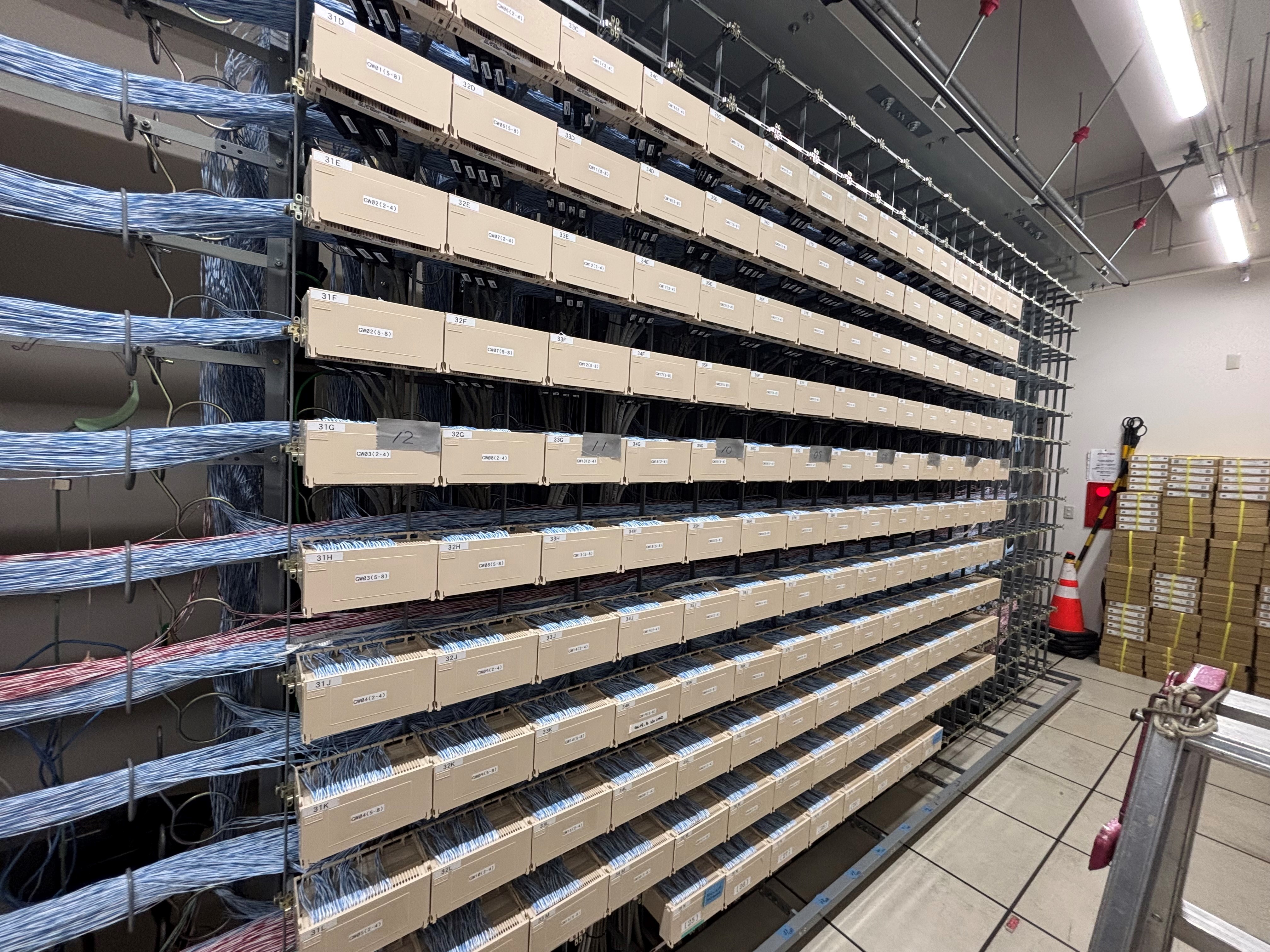 Photo of rows of network cables.