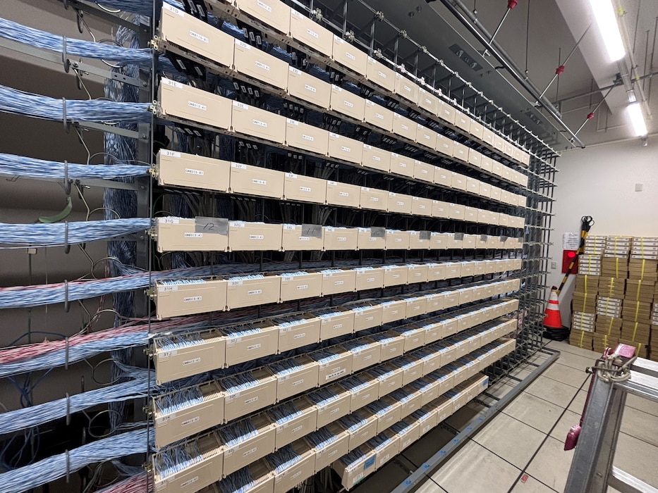 Photo of rows of network cables.