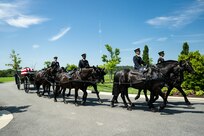 Army Soldiers wearing dark ceremonial uniforms are riding on caisson horses as the caisson is carrying a flag-draped casket down a road in Arlington National Cemetery.