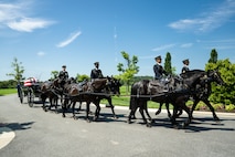Army Soldiers wearing dark ceremonial uniforms are riding on caisson horses as the caisson is carrying a flag-draped casket down a road in Arlington National Cemetery.