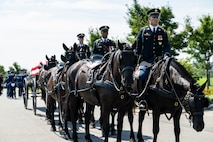 Army Soldiers wearing dark ceremonial uniforms are riding on caisson horses as the caisson is carrying a flag-draped casket down a road in Arlington National Cemetery.