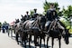 Army Soldiers wearing dark ceremonial uniforms are riding on caisson horses as the caisson is carrying a flag-draped casket down a road in Arlington National Cemetery.