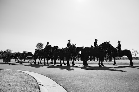 Black and white image of Army Soldiers riding on caisson horses.
