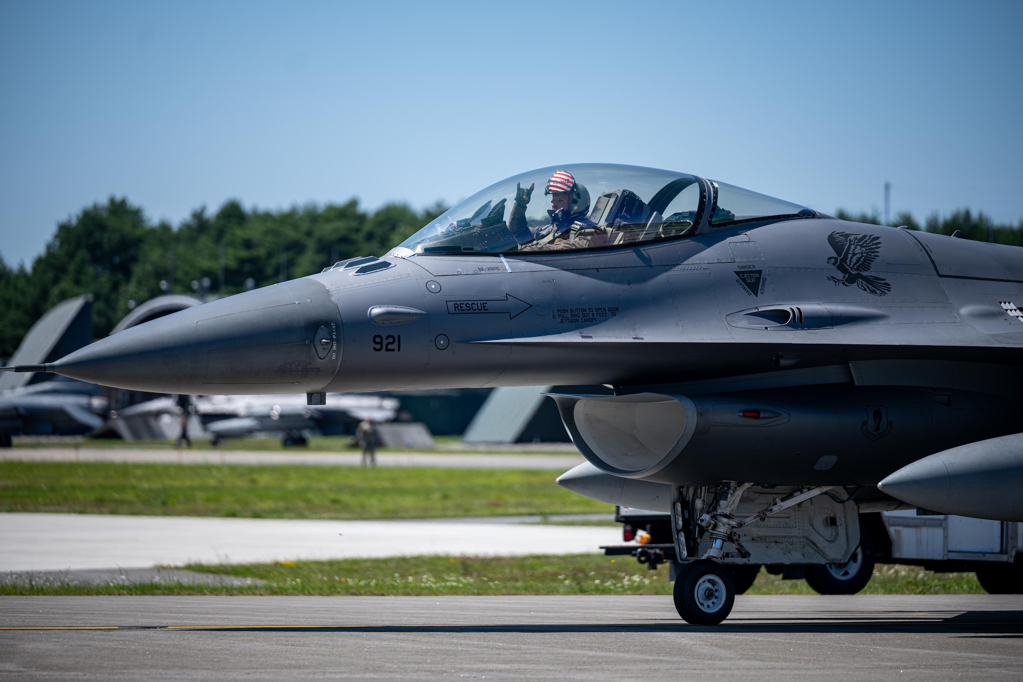 U.S. Air Force Col. Matthew Kenkel, 35th Fighter Wing deputy commander, holds up the Wild Weasel hand sign before his final, or fini, flight in a U.S. Air Force F-16 Fighting Falcon.
