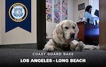 Coast Guard Base Los Angeles-Long Beach (LA-LB) is the first Coast Guard base to have an official facility dog. Pictured is Winston one of the reasons why members believe Coast Guard Base Los Angeles-Long Beach is the best and greatest place to work!