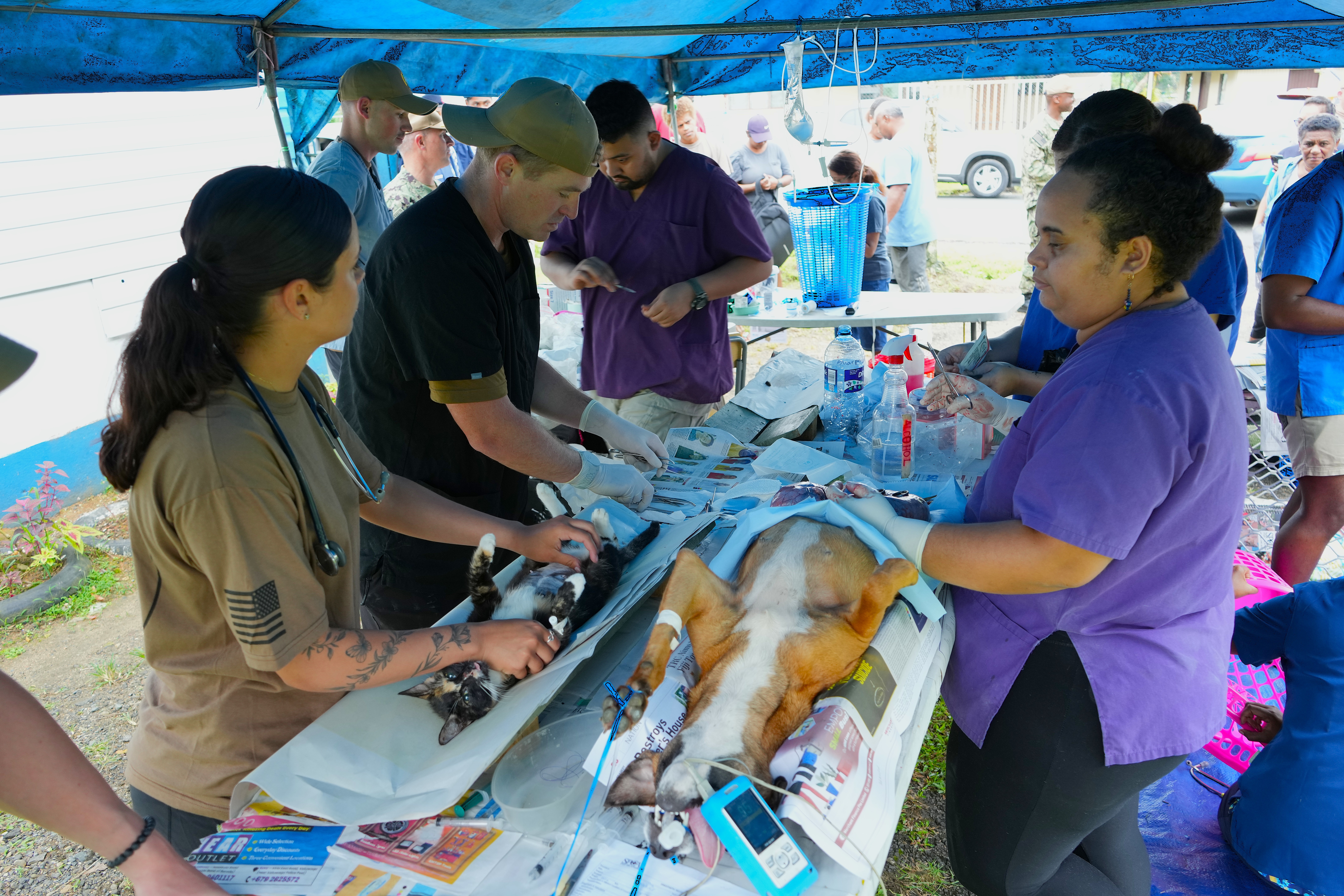 U.S. Army soldiers, assigned to 72nd Medical Detachment Veterinary Service Support, and veterinarians from the Society for the Prevention of Cruelty to Animals (SPCA) Fiji animal hospital conduct spay surgery on dogs and cats during a spay and neuter clinic, as part of Pacific Partnership 2025, in Suva, Fiji, June 9, 2025