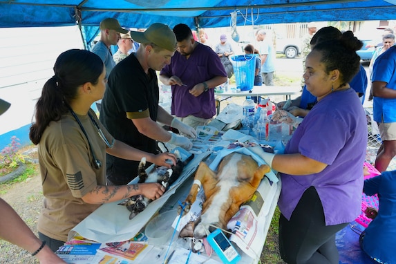 U.S. Army soldiers, assigned to 72nd Medical Detachment Veterinary Service Support, and veterinarians from the Society for the Prevention of Cruelty to Animals (SPCA) Fiji animal hospital conduct spay surgery on dogs and cats during a spay and neuter clinic, as part of Pacific Partnership 2025, in Suva, Fiji, June 9, 2025