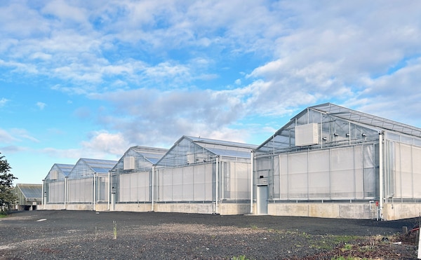 Constructed screenhouses and greenhouses.